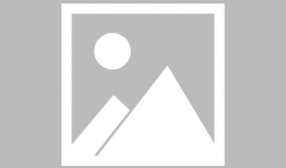 漫画桥梁,漫画中的奇幻之旅